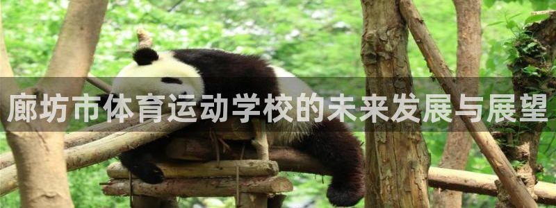 凯发官网下载平台:廊坊市体育运动学校的未来发展与展望