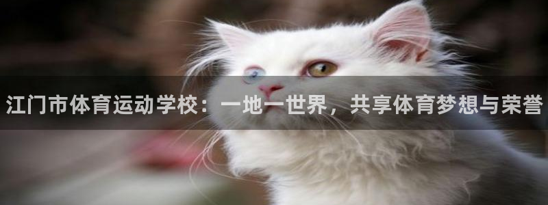凯发官网下载娱乐:江门市体育运动学校:一地一世界,共享体育梦